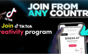 Creator checking TikTok Creativity Program Beta earnings dashboard on a smartphone